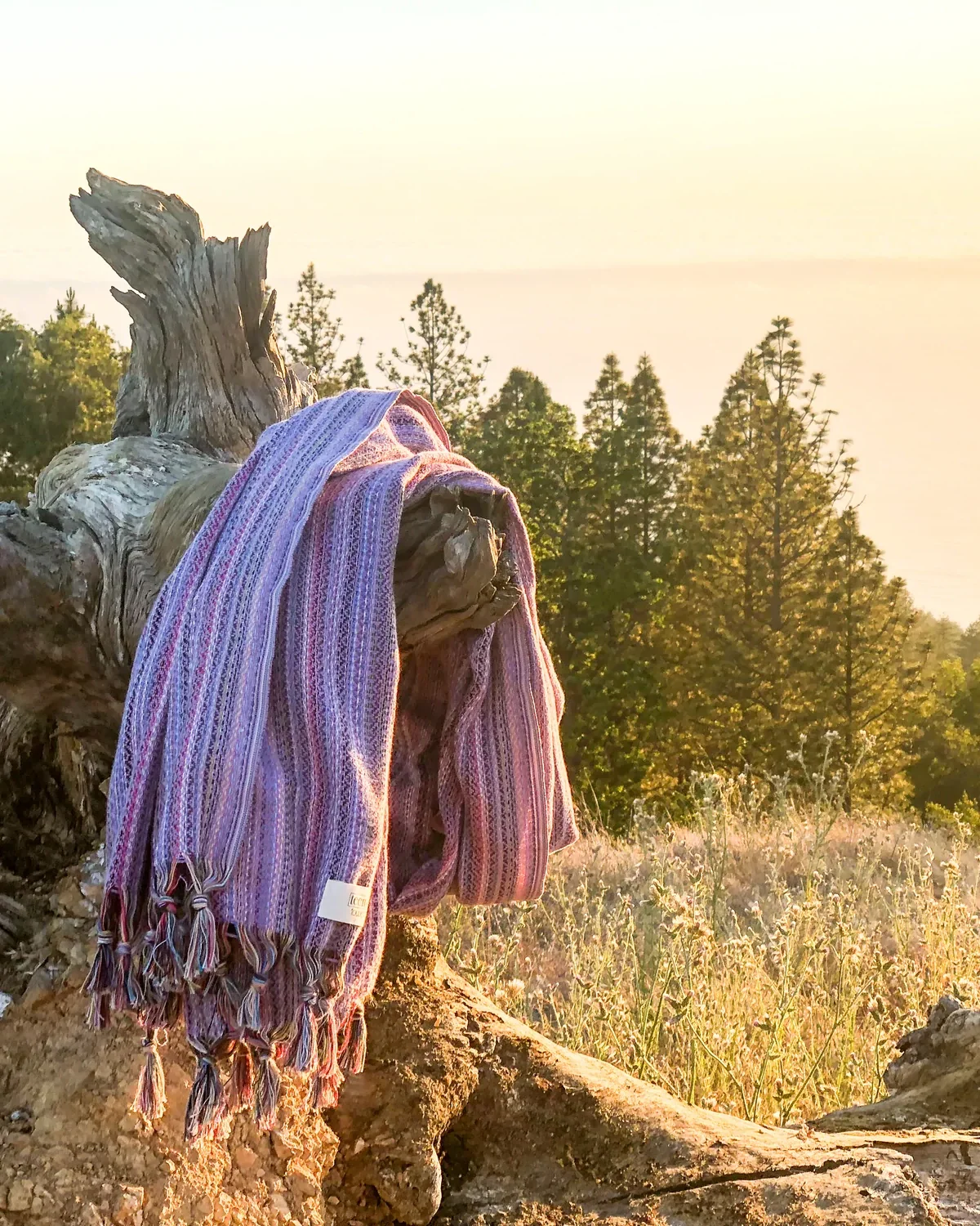 The Lilac Labyrinth - Image 6